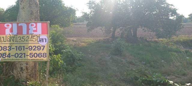 ขายที่ดินราคาถูก 35-2-45 ไร่ บ้านคลองช้าง พรหมพิราม พิษณุโลก