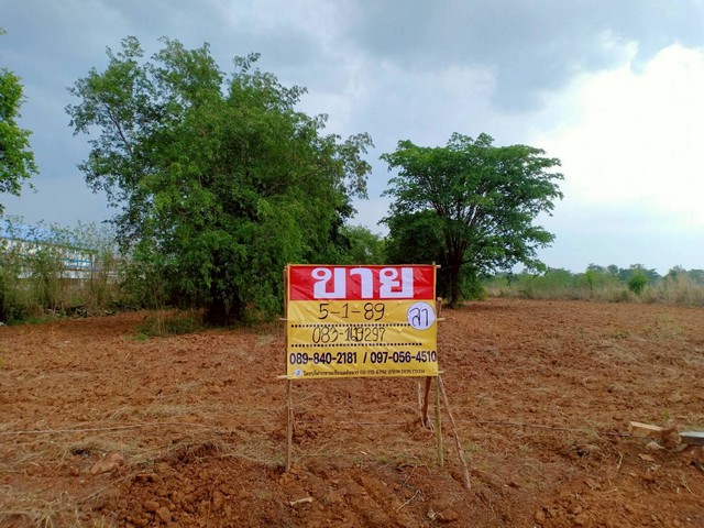 ขายที่ดินราคาถูก 5-1-89 ไร่ ติดถนนสายหลัก ขอนแก่น – ชุมแพ