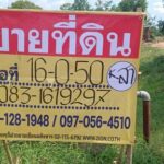 ขายที่ดินราคาถูก 16-0-50 ไร่ ติดถนนลาดยางบ้านคำไฮ – บ้านดอนโมง