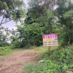 ขายที่ดิน 2ไร่ ซอยคลองห้าตะวันออก38 คลองหลวง ปทุมธานี