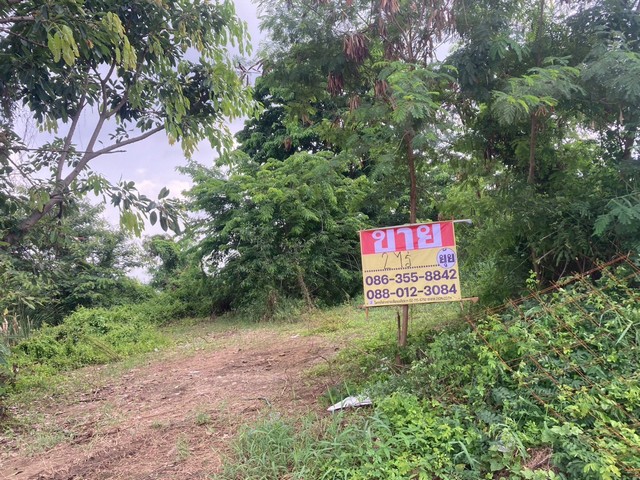 ขายที่ดิน 2ไร่ ซอยคลองห้าตะวันออก38 คลองหลวง ปทุมธานี