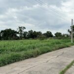 ขายที่ดินคลองสี ฝั่งตะวันออก คลองหลวง ปทุมธานี เนื้อที่ 850 ตาราง