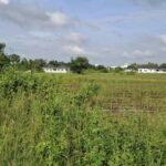 ขายที่ดิน สระบุรี 11-3-25ไร่ แบ่งขายมีทั้งที่ถมและยังไม่ถม ใกล้ชุ