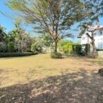 ขายที่ดินเปล่า 242 วา แปลงงาม ใจกลางเมืองเอก รังสิต