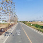 ขายที่ดินอำเภอเมืองลำพูน