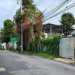 ที่ดินสุขุมวิท71ใกล้ BTS ราคาถูกพิเศษ