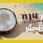 มะพร้าวทับสะแกเนื้อฟู