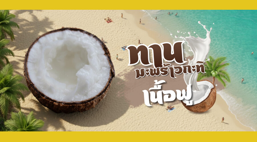 มะพร้าวทับสะแกเนื้อฟู