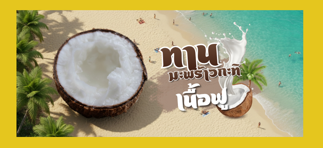 มะพร้าวทับสะแกเนื้อฟู
