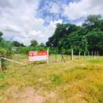 ที่ดินป่าแดดเชียงใหม่