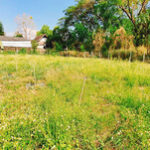 ต้องการนายหน้าขายที่ดินเชียงใหม่ ที่ดินราคาถูก